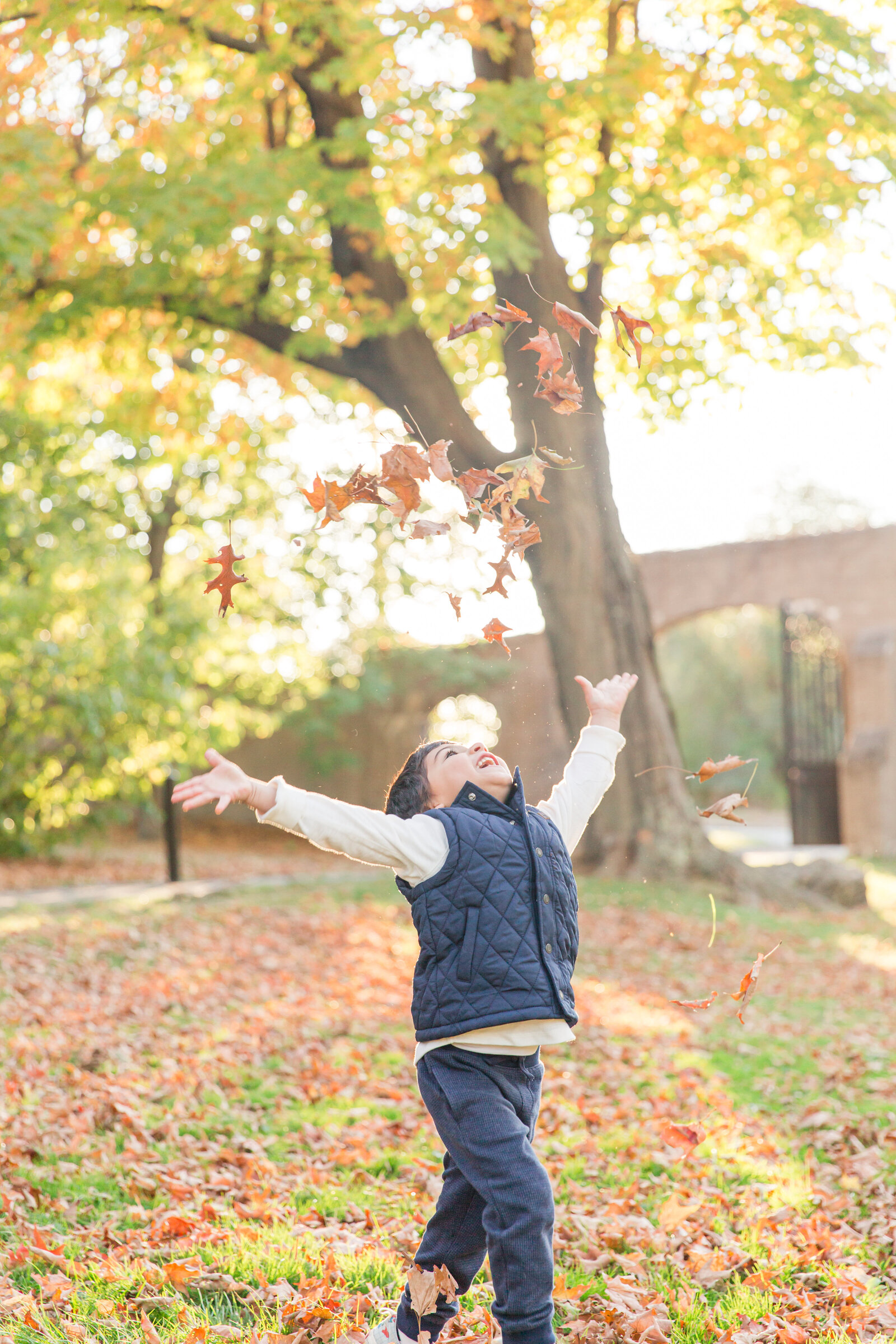 Fall family session at Larz Anderson Park in Brookline MA
