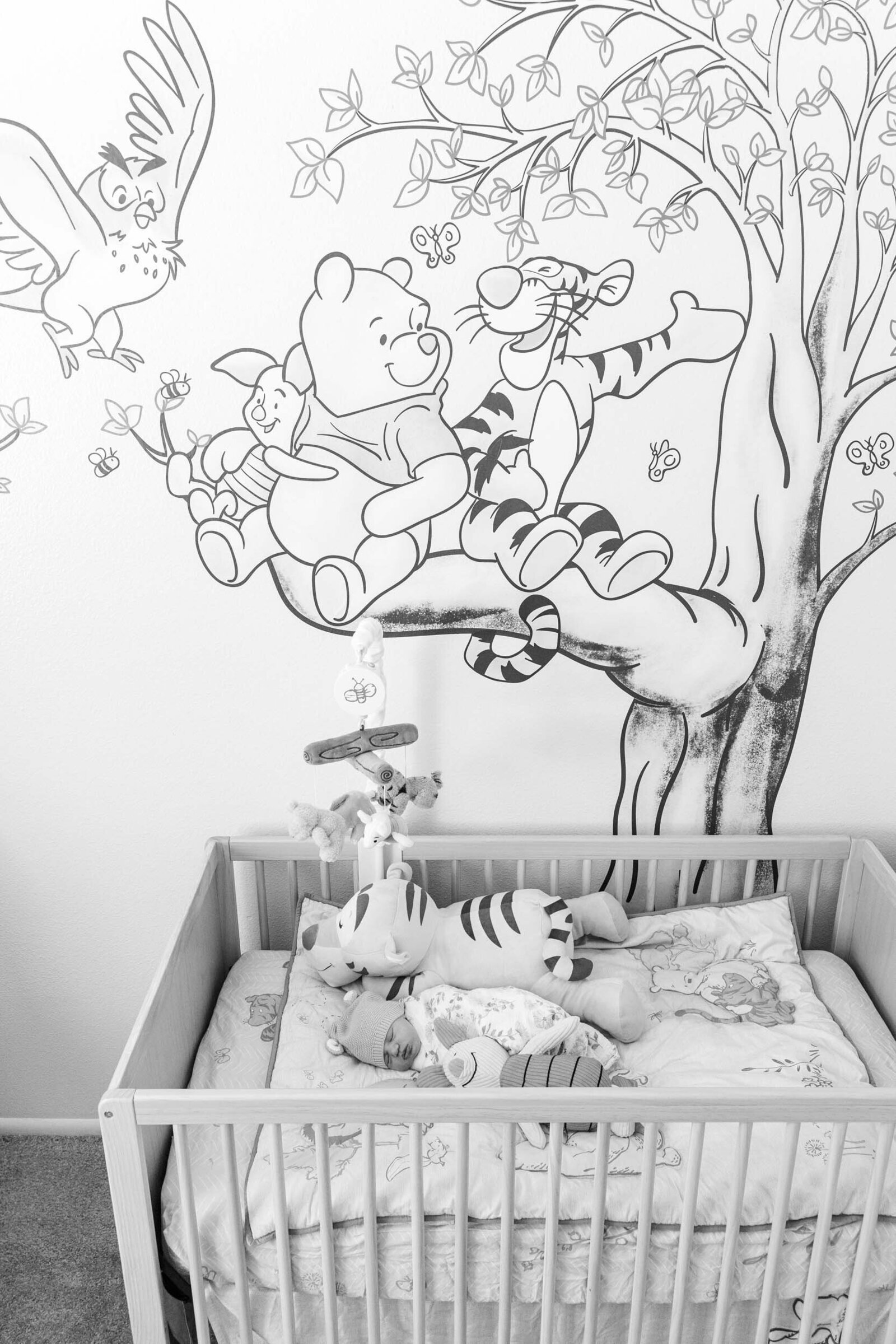 winnie-the-pooh-newborn-nursery-aronoff-photography-1