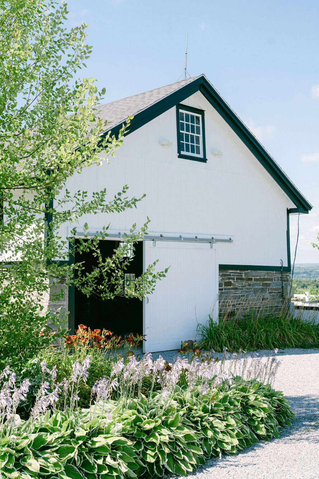 blooming hosta lined garden and gravel path to white and stone historic barn