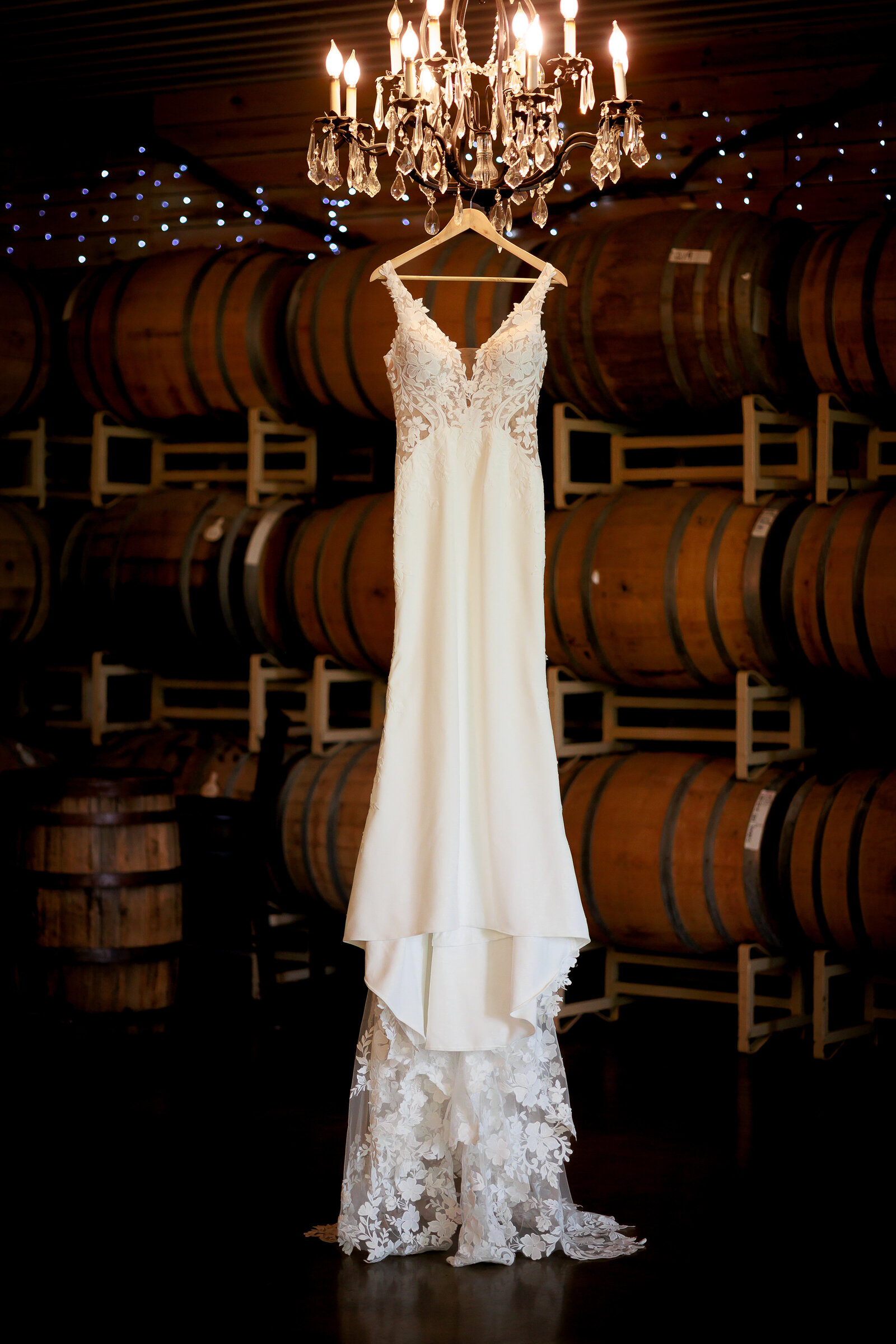 Minnesota Wedding Photographer-2