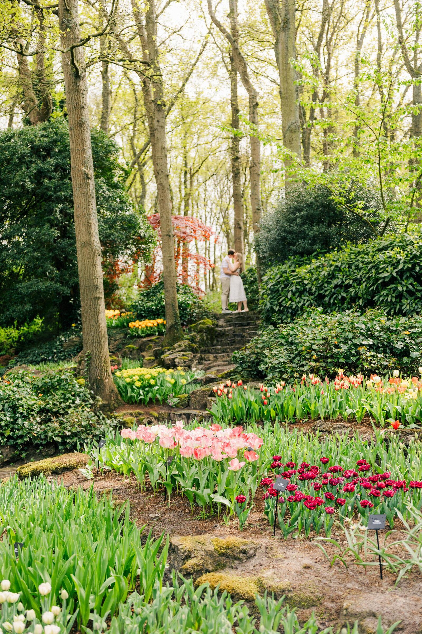 150425 Sidney & Emily Keukenhof engagement Amy Harper Fotografie-053