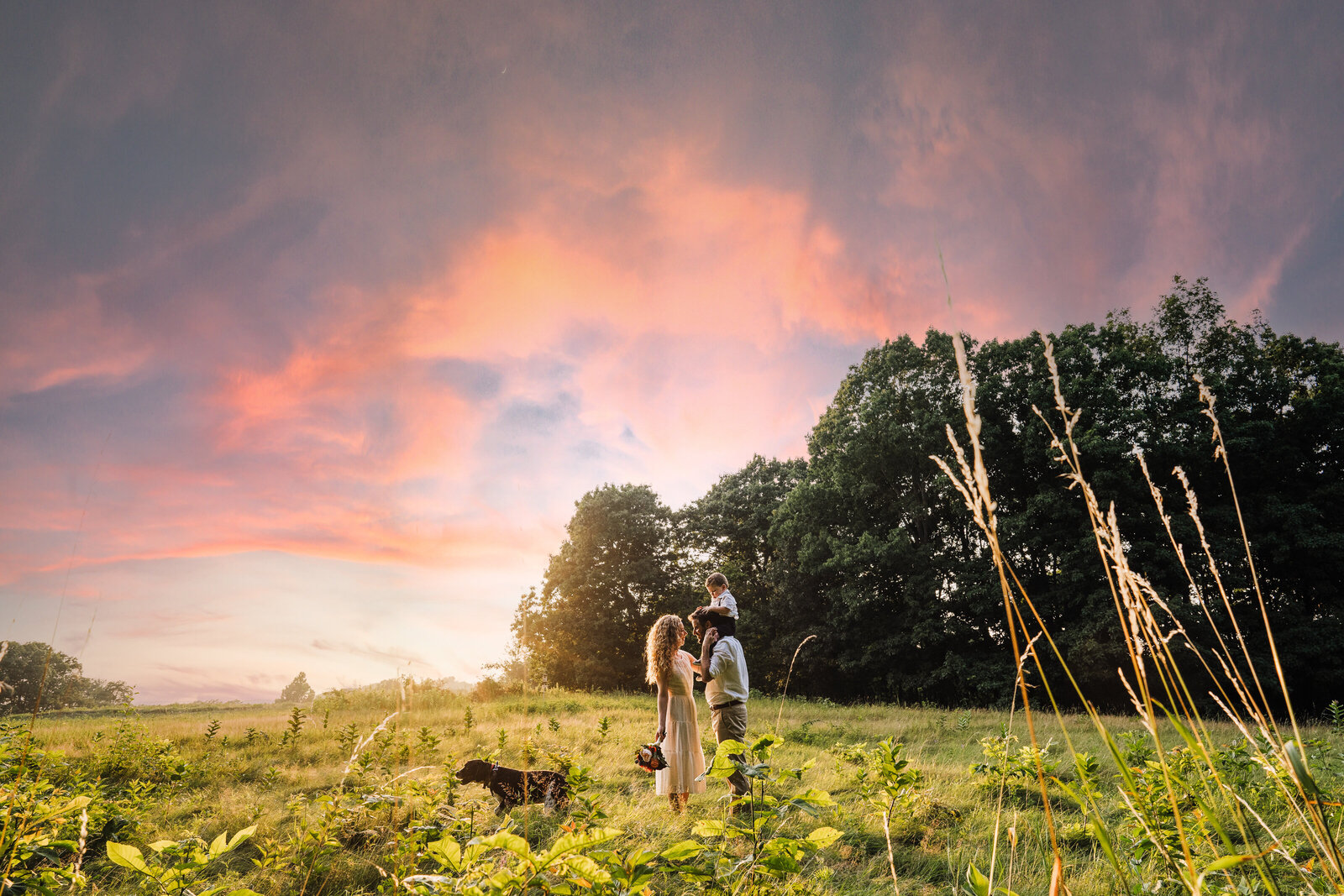 family stands in a field under pink sunset