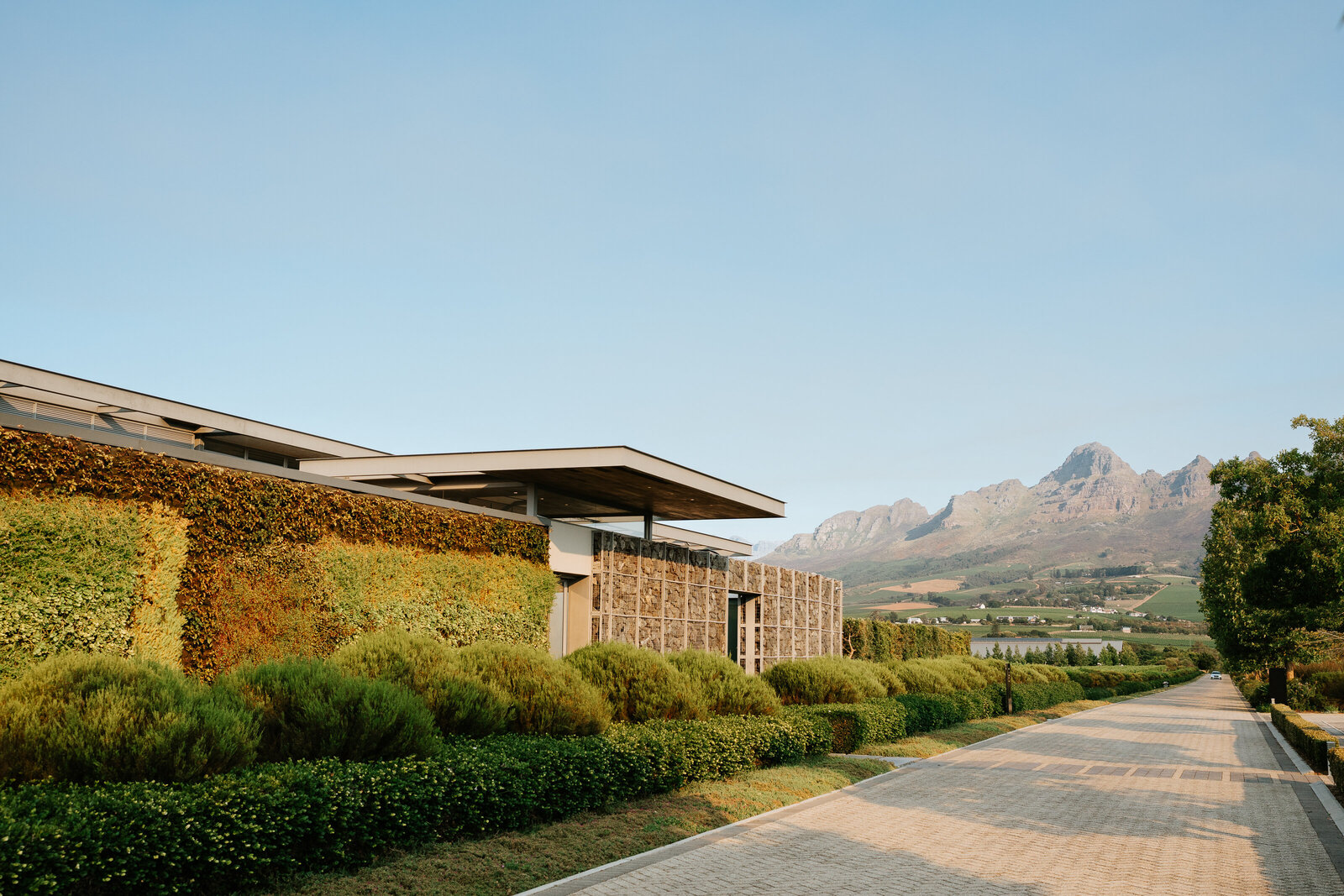 Stellenbosch-wedding-1