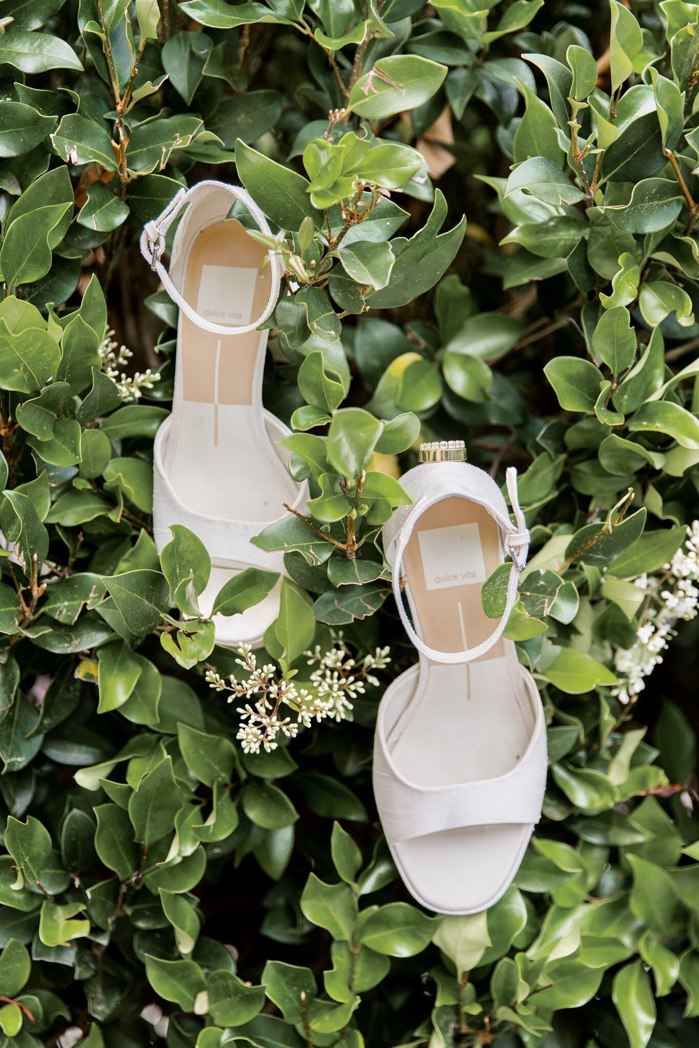 Moments by Hiba Raleigh Wedding Photographer Wedding The Maxwell Summer Wedding