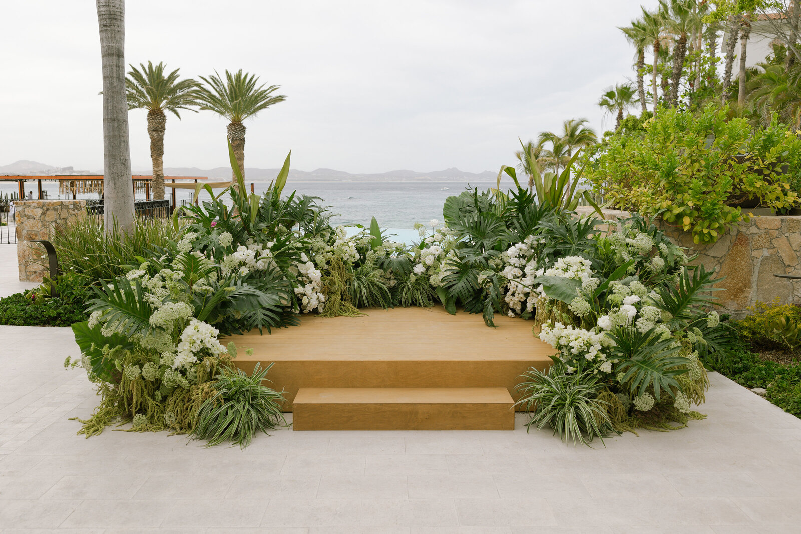 TARYN - PALMILLA -4