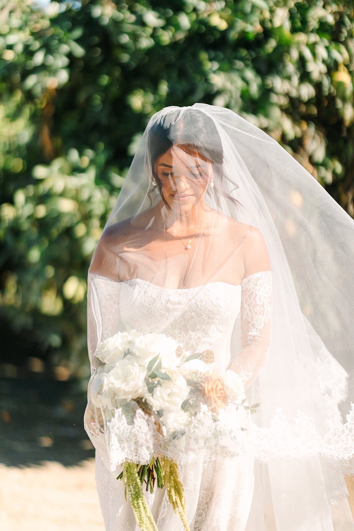 Bridal portrait under her veil in the bright sunshine in Escondido.
