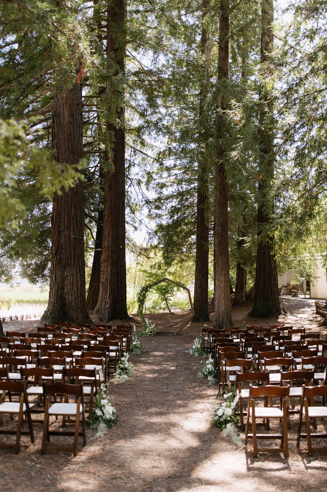 Ceremony details in the redwoods by Northern California wedding photographers