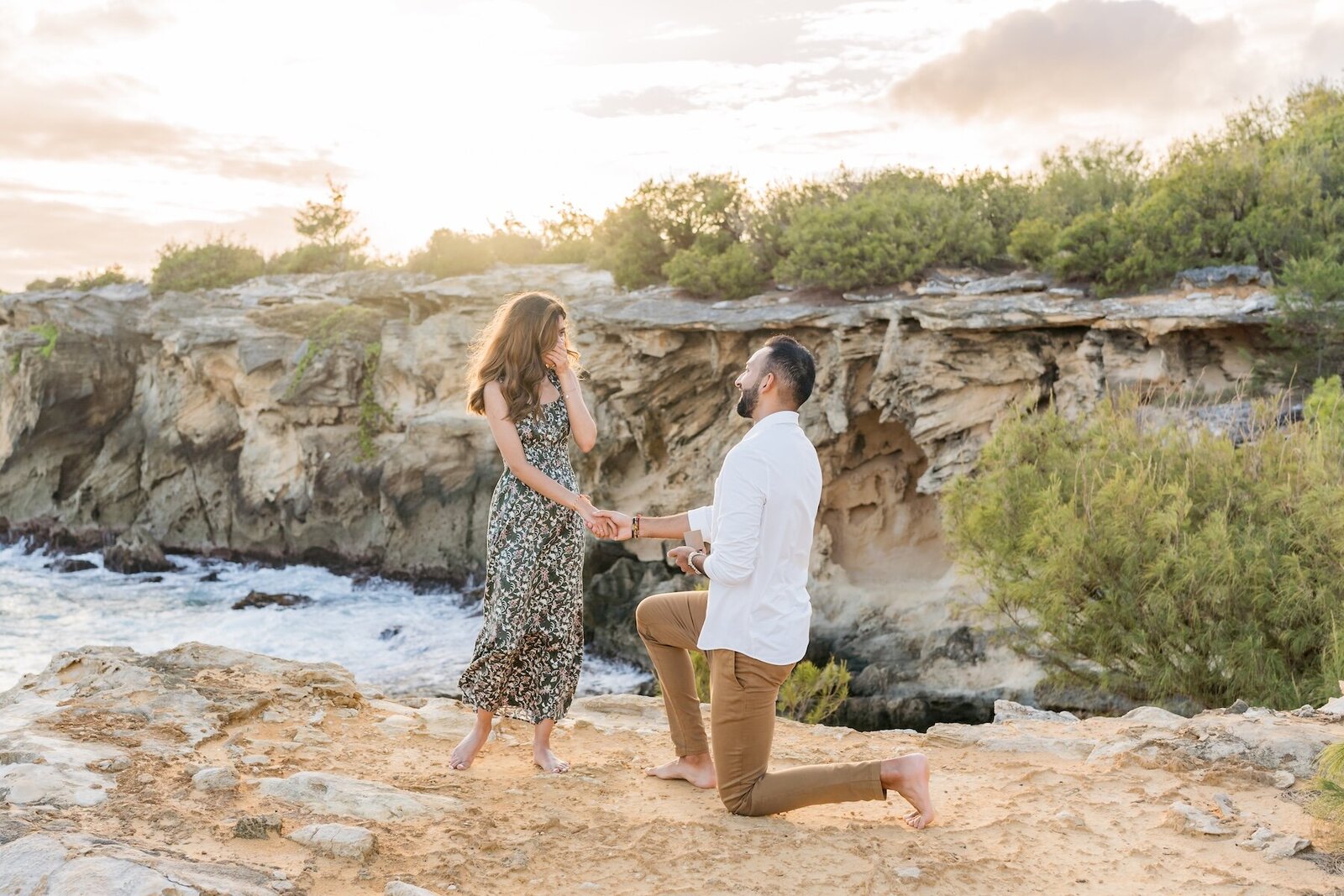 Kauai Proposal packages
