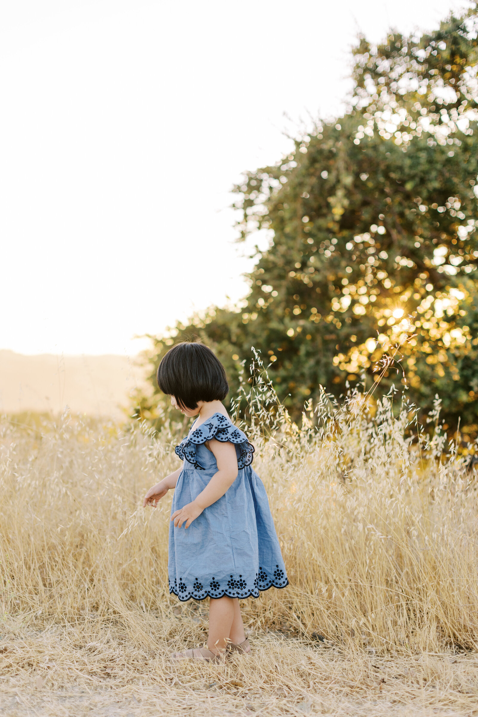 east-bay-family-photographer