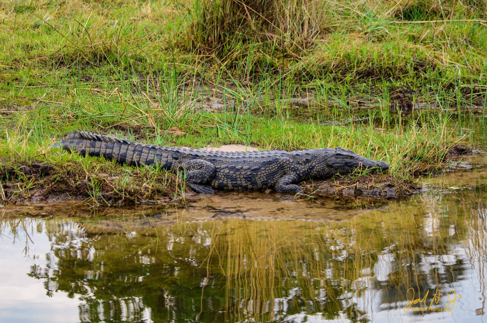 2013 Crock