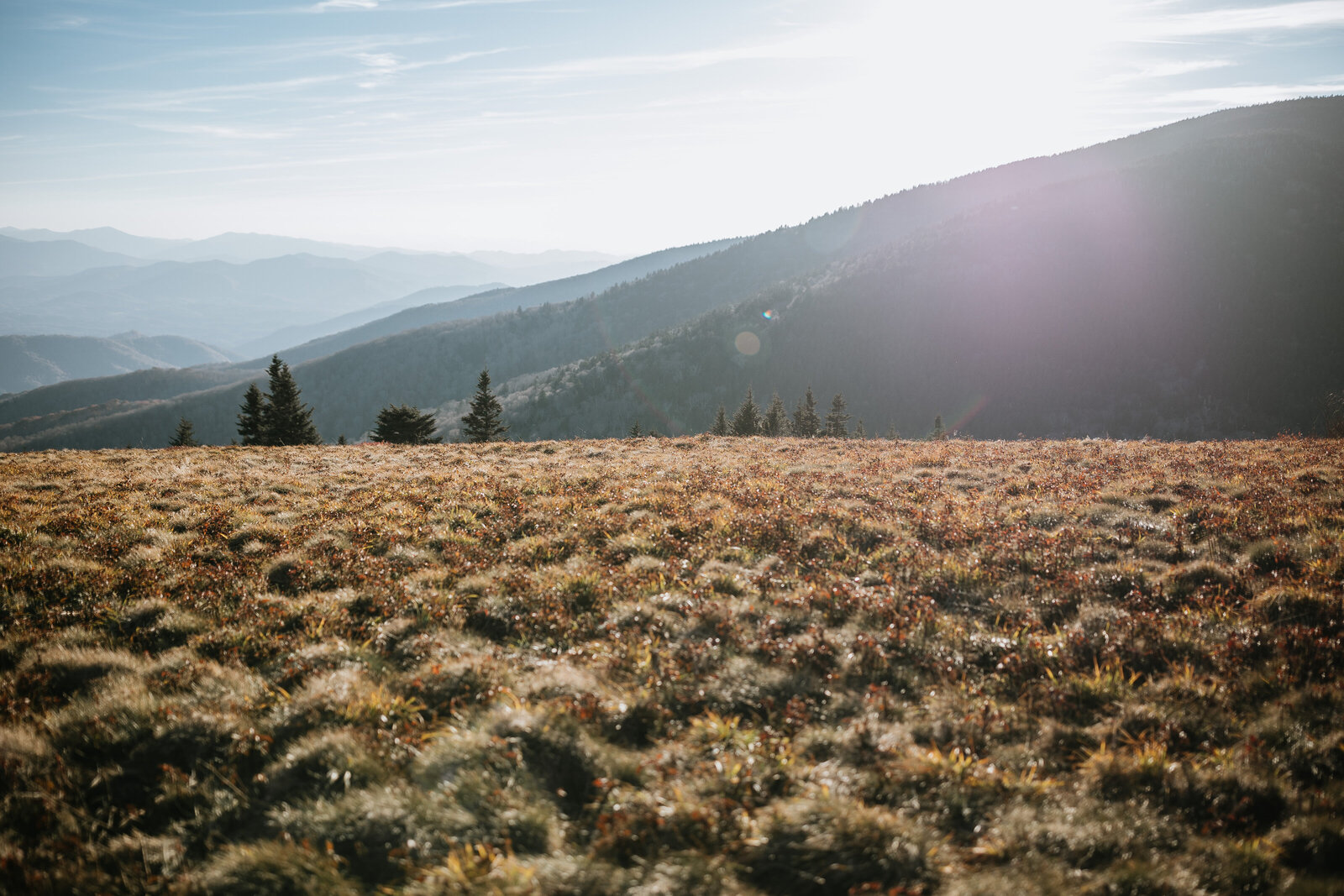 Roan-Mountain-Elopement-Photographer-Videographer-136