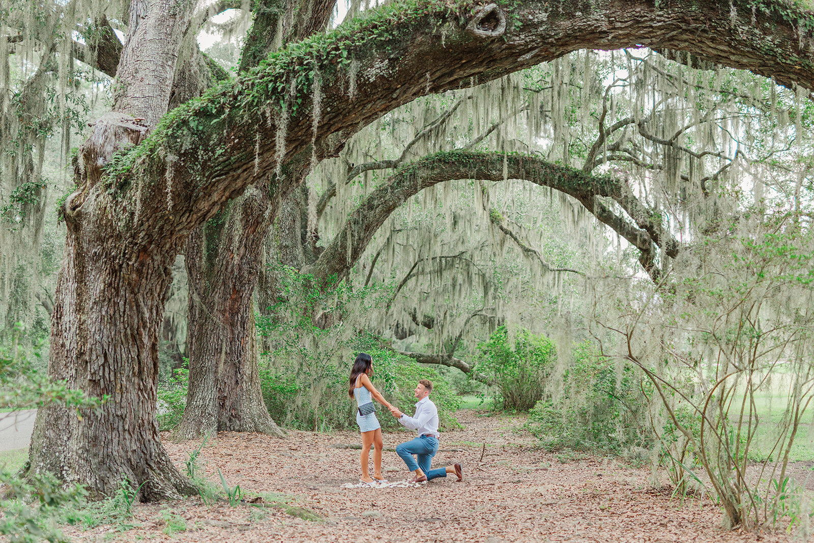Michael and Meghan Charleston Proposal 2025 Laura & Rachel Photography-3_websize