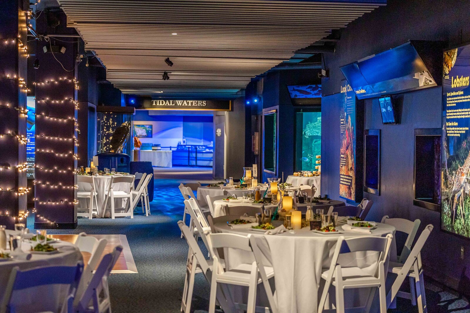 A wedding reception setup with white tables, glowing candlelight, and aquarium exhibits in the background, captured during a Pine Knoll Shores, NC wedding, blending coastal elegance with a unique venue.