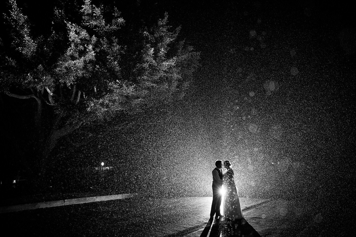 beautiful rain shot black and white