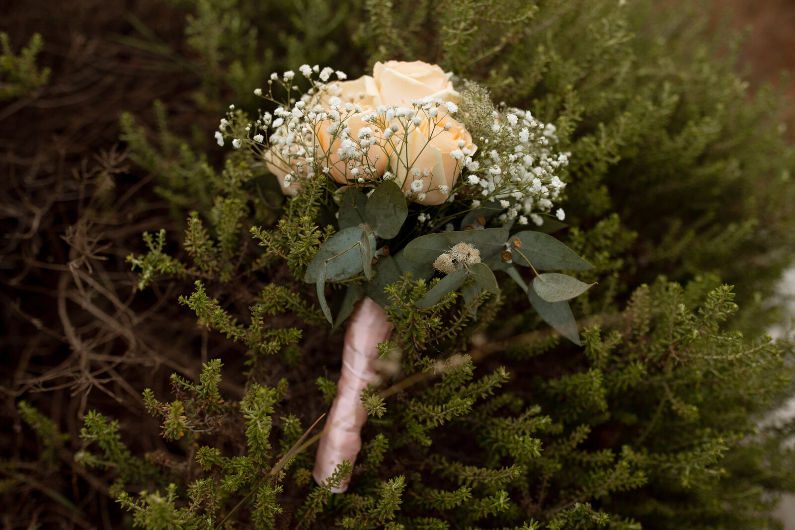 WEDDING-PHOTOGRAPHER-TWEED-COAST