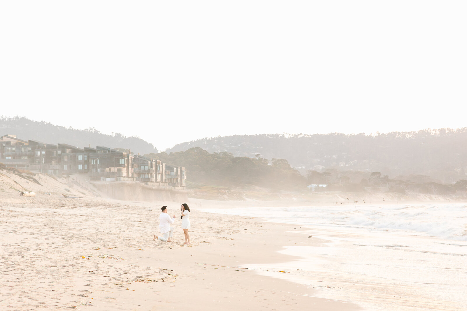 Seaside Monterey Beach Proposal 10