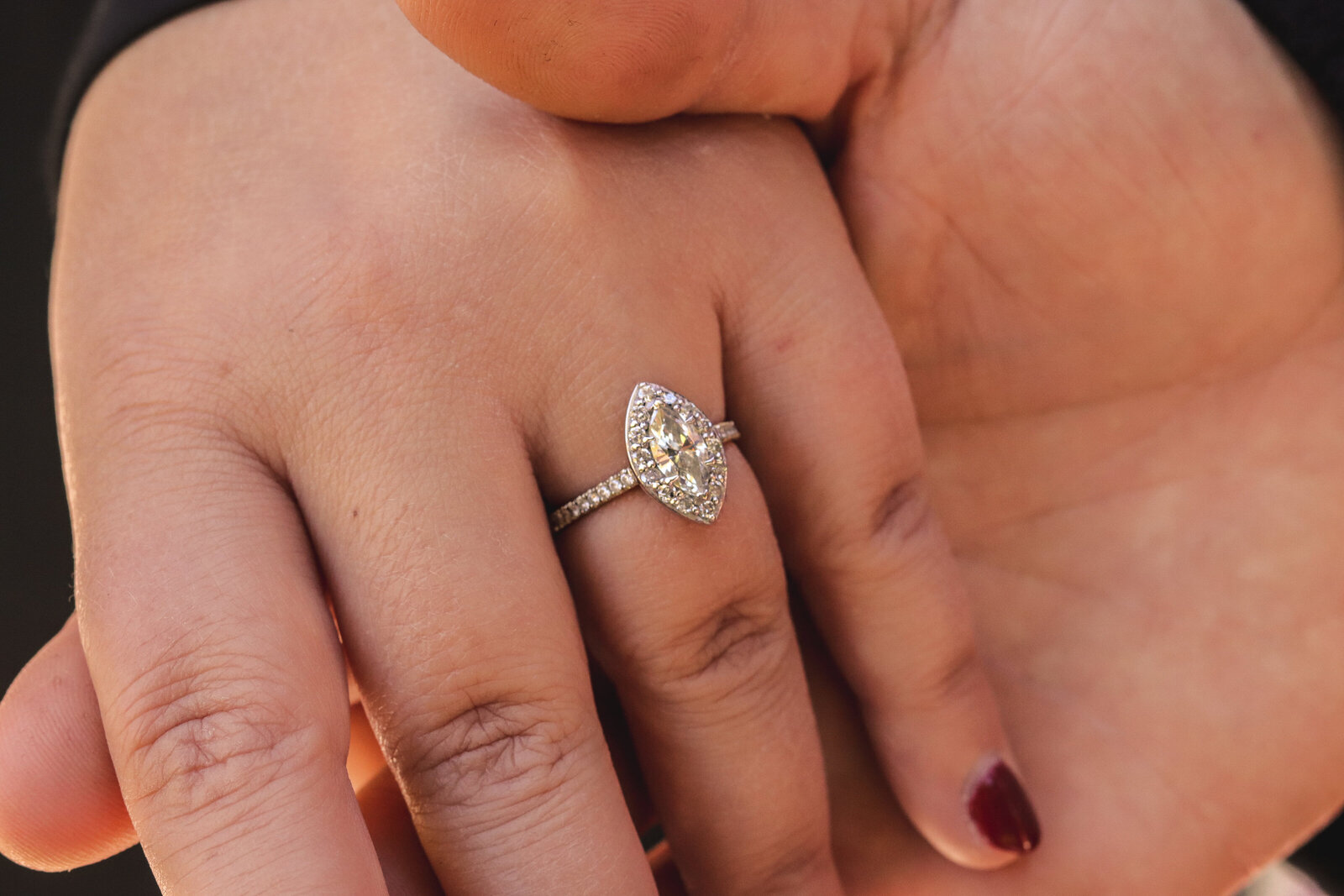 Engagment-Photos-Fall-Vanderbilt-Mansion-Love-to-Lens-Photography-(106)