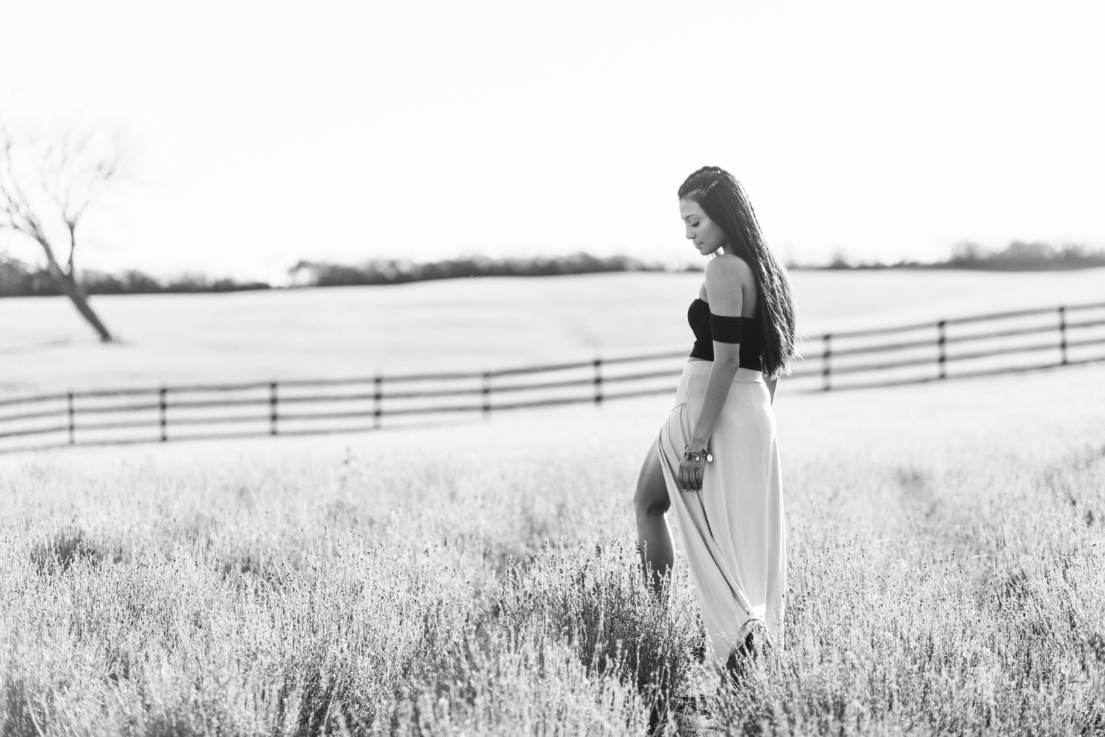 Lavendar Farm Senior Session-0305-2