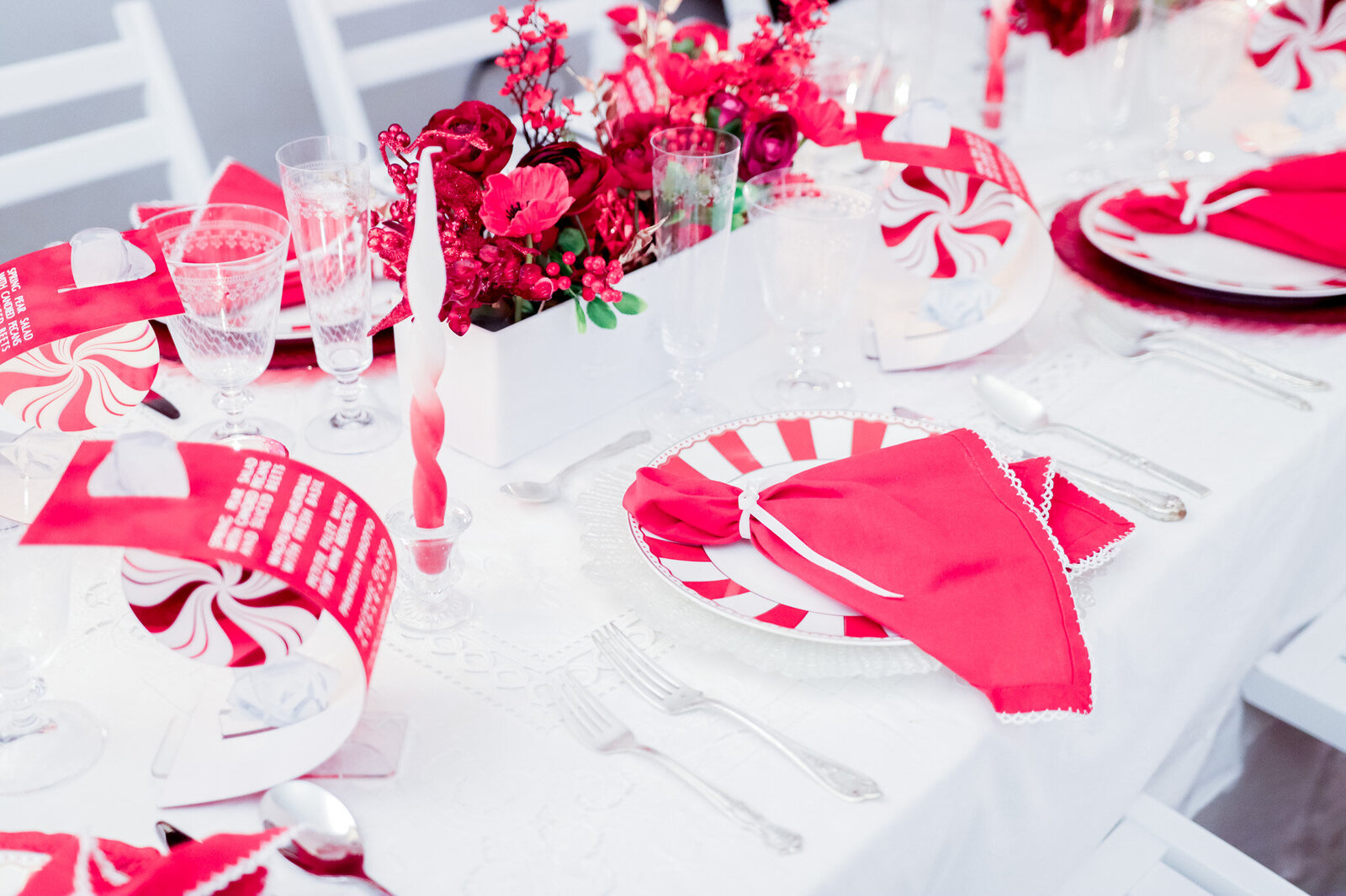 NYC NJ NEW YORK NEW JERSEY CHRISTMMAS DECORATOR  (15)