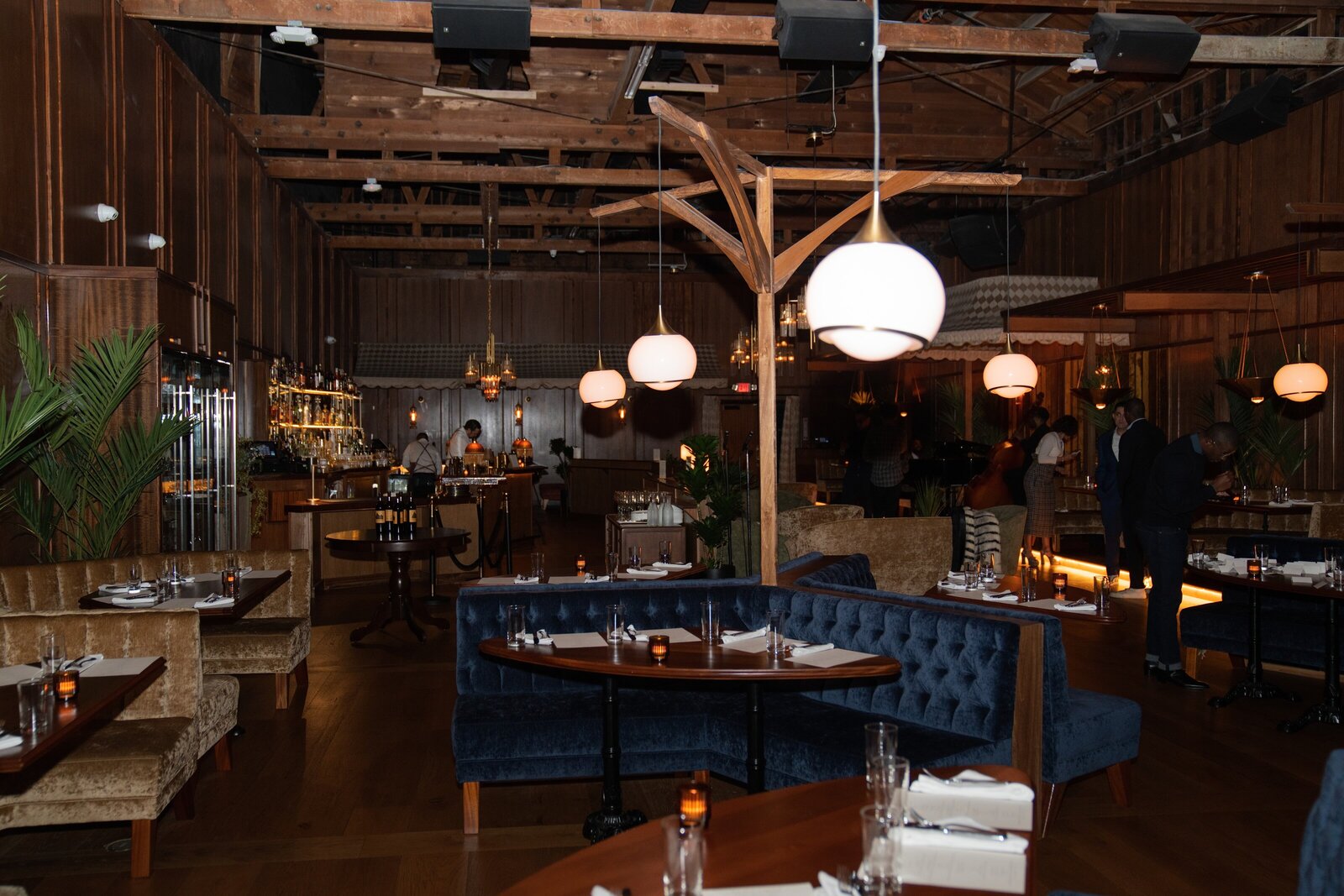 Client Gallery A7C03799