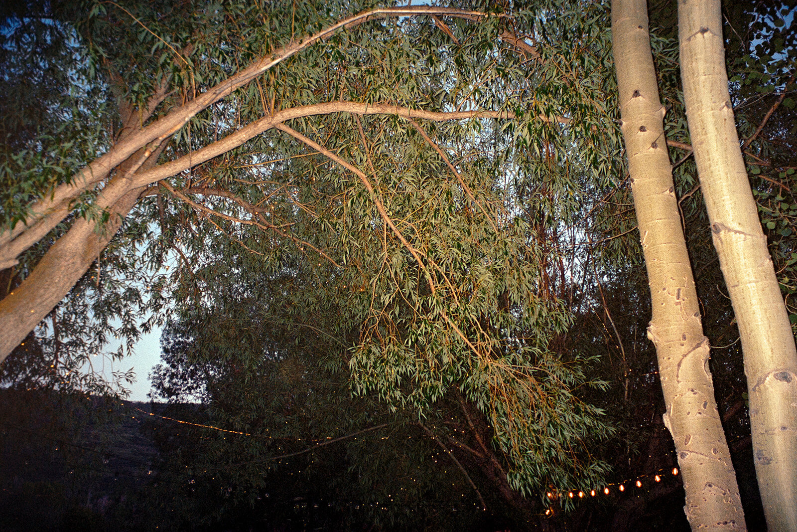 liv + kicker_film-57