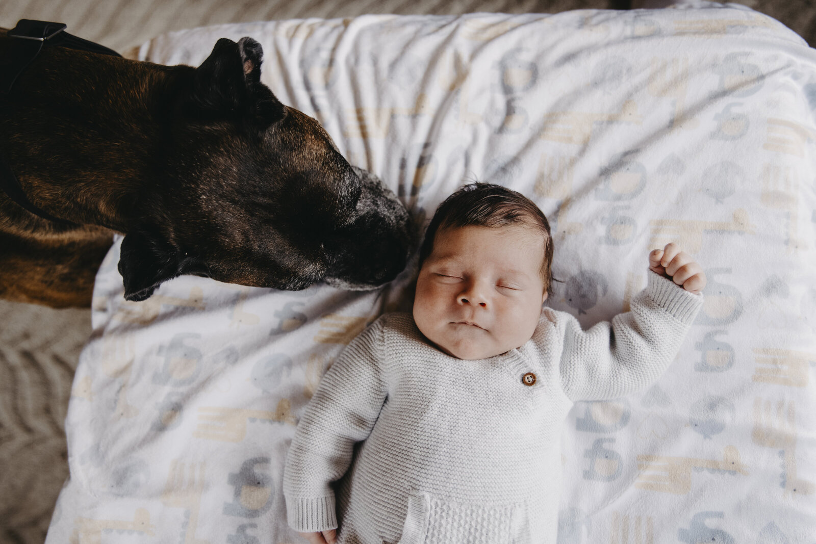 Boston_Lifestyle_Newborn_Photographer_.IMG_2453