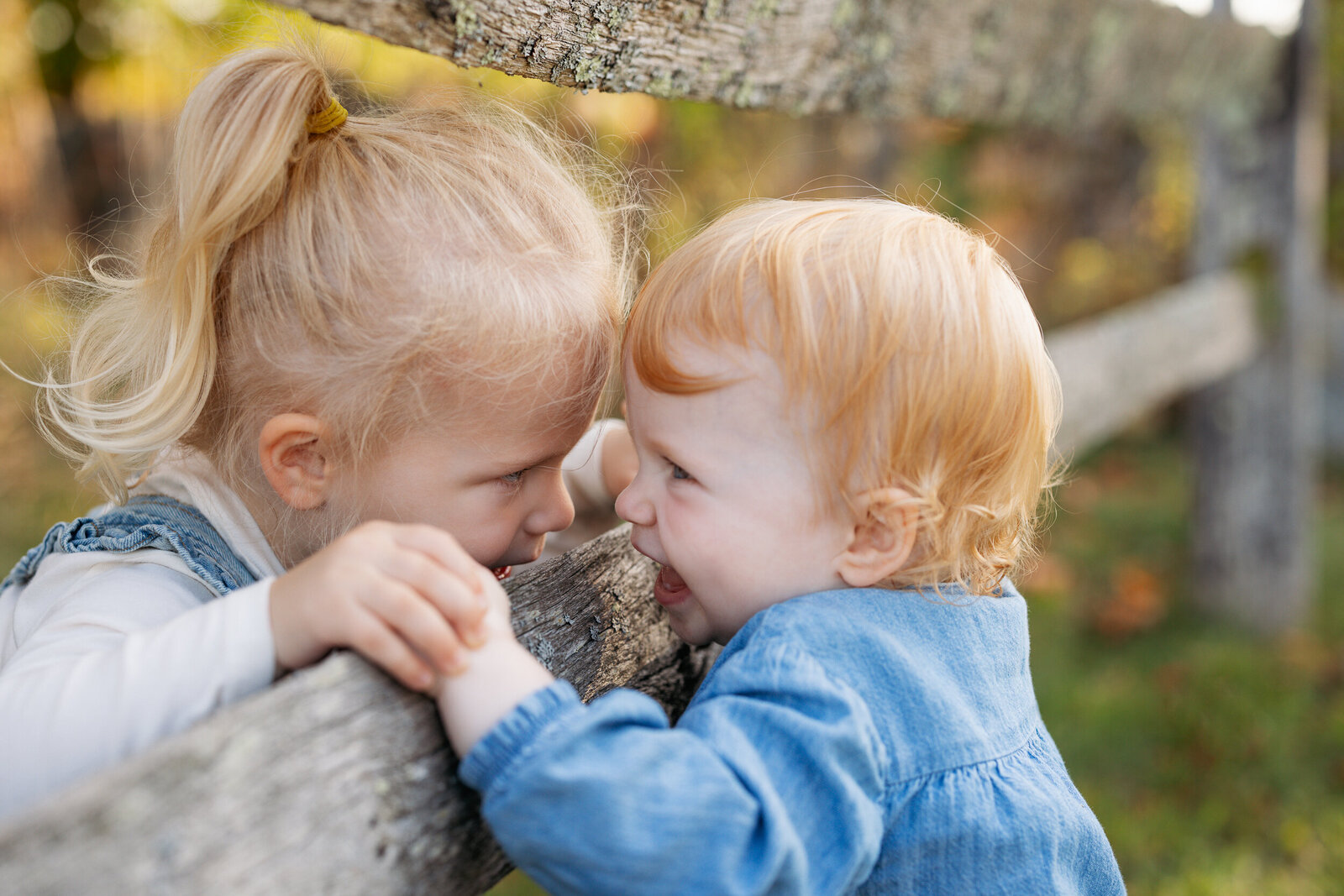 Boston Family Photographer Alana Sousa--46