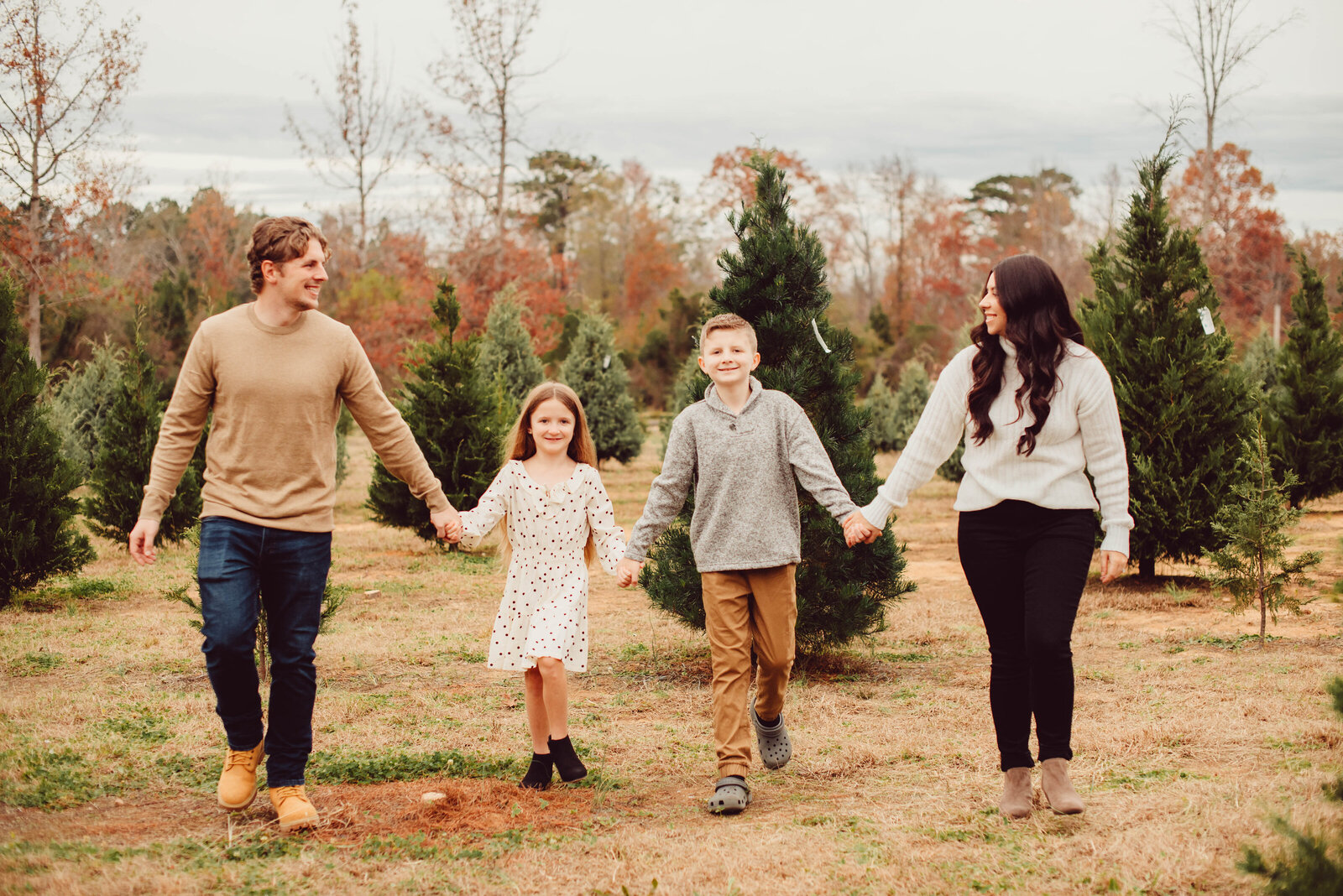 Tackett Tree Minis 21