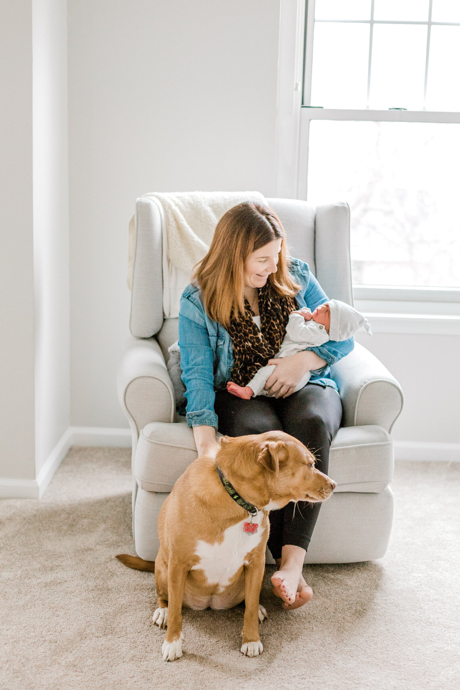Blue Bell Pennsylvania In home newborn session with dog white and gray animal nursery wedding and lifestyle photographer Lytle Photo Co (7 of 109)