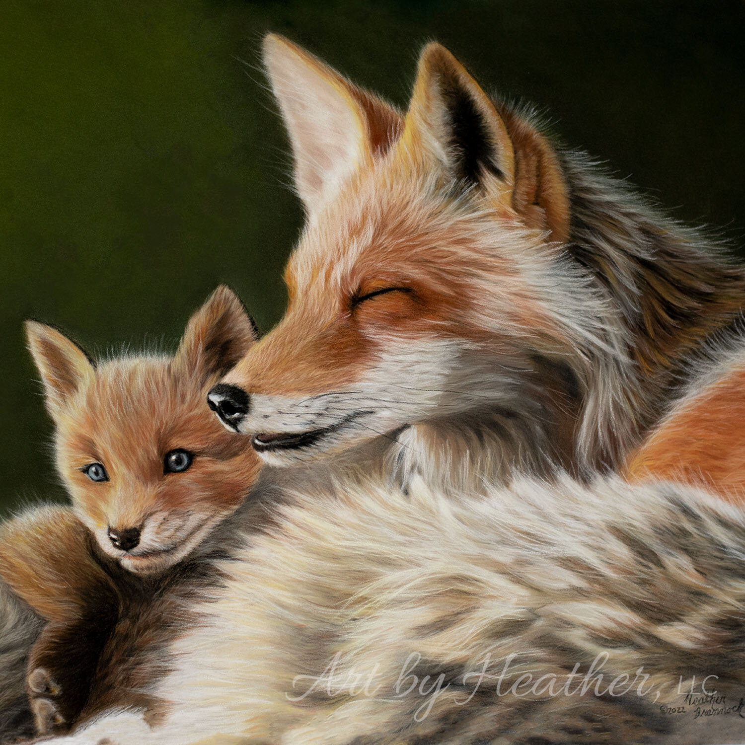 Pastel drawing of mother fox with baby relaxing together in the sun.