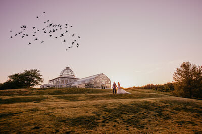 Andrea Caresse Lewis - Amative Creative - Wedding Photographer - 100