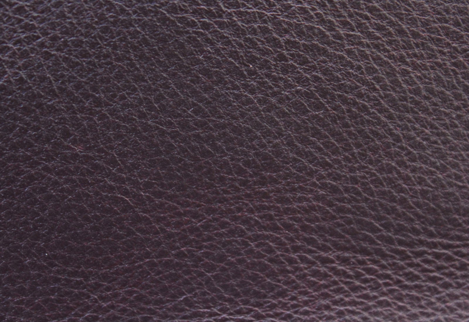 Bravo Burgundy Leather
