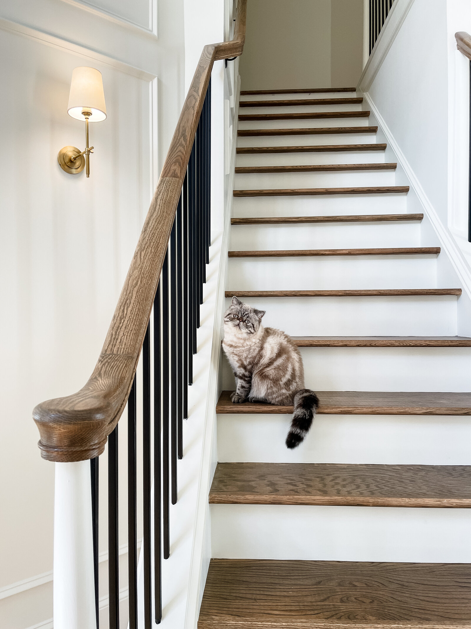 Refined entryway and staircase design in Roswell, Georgia with custom railing, neutral tones, and a warm, welcoming atmosphere by Megan Paterson Interiors.

