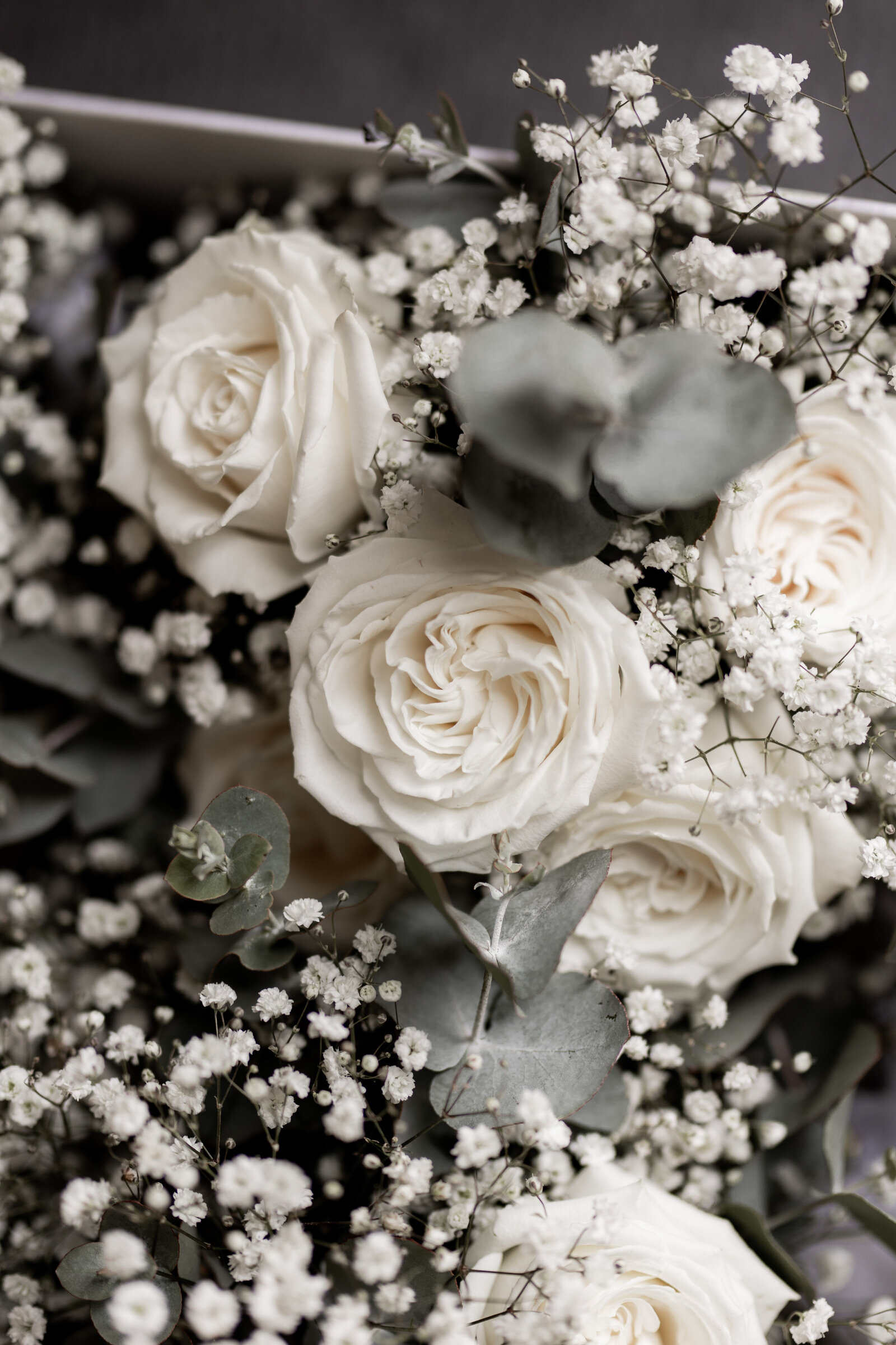 250329-Amanda-Adam-Rexvil-Photography-Adelaide-Wedding-Photographer-98