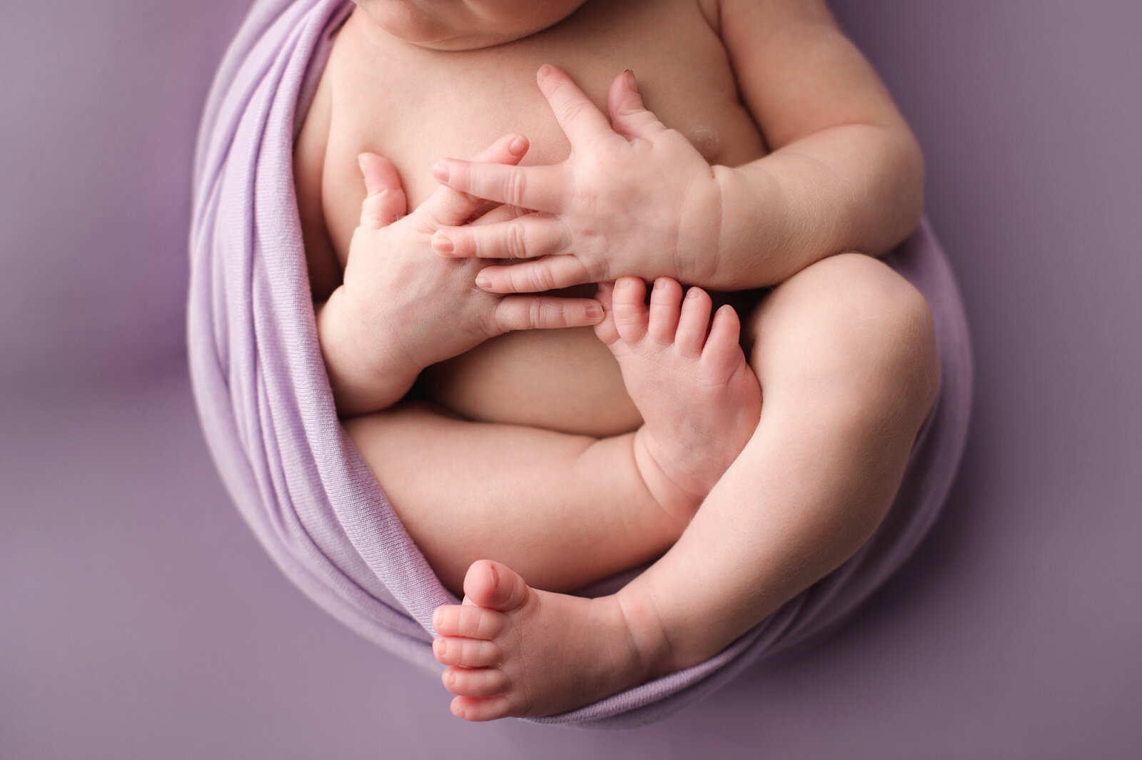 bangor-maine-studio-newborn-baby-photographer-0014