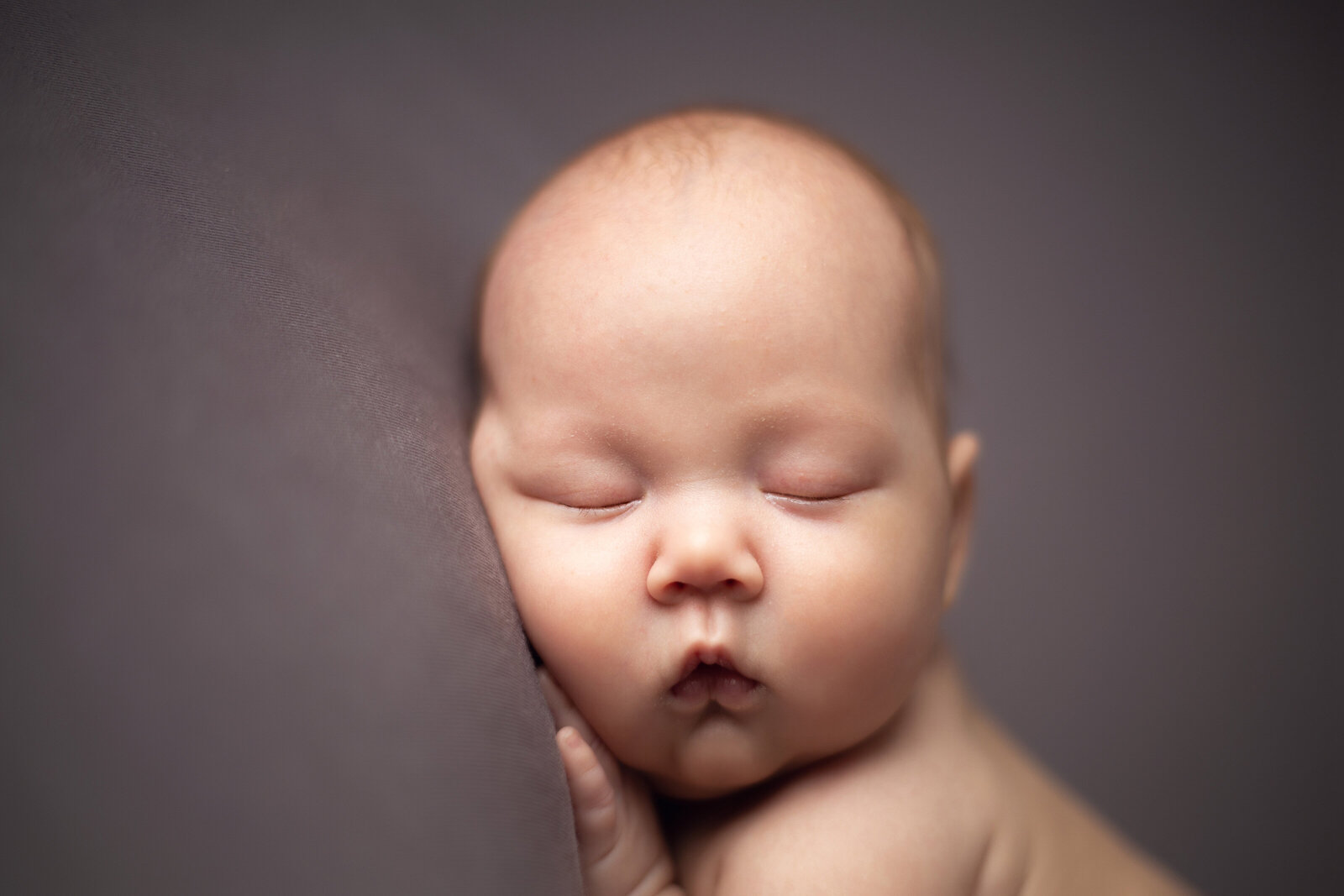 Collingwood Newborn Photographer - Katie Lintern (7)