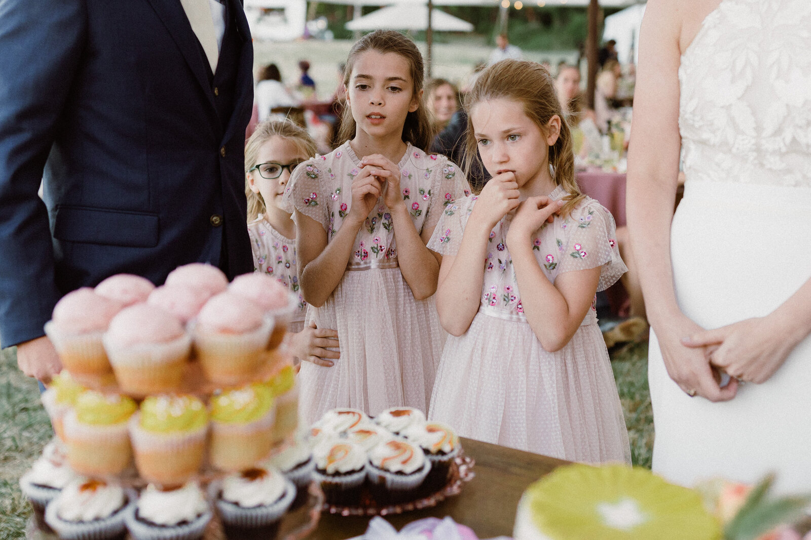 Flower girls at a wedding in Vashon Field and Pond looking at cupcakes