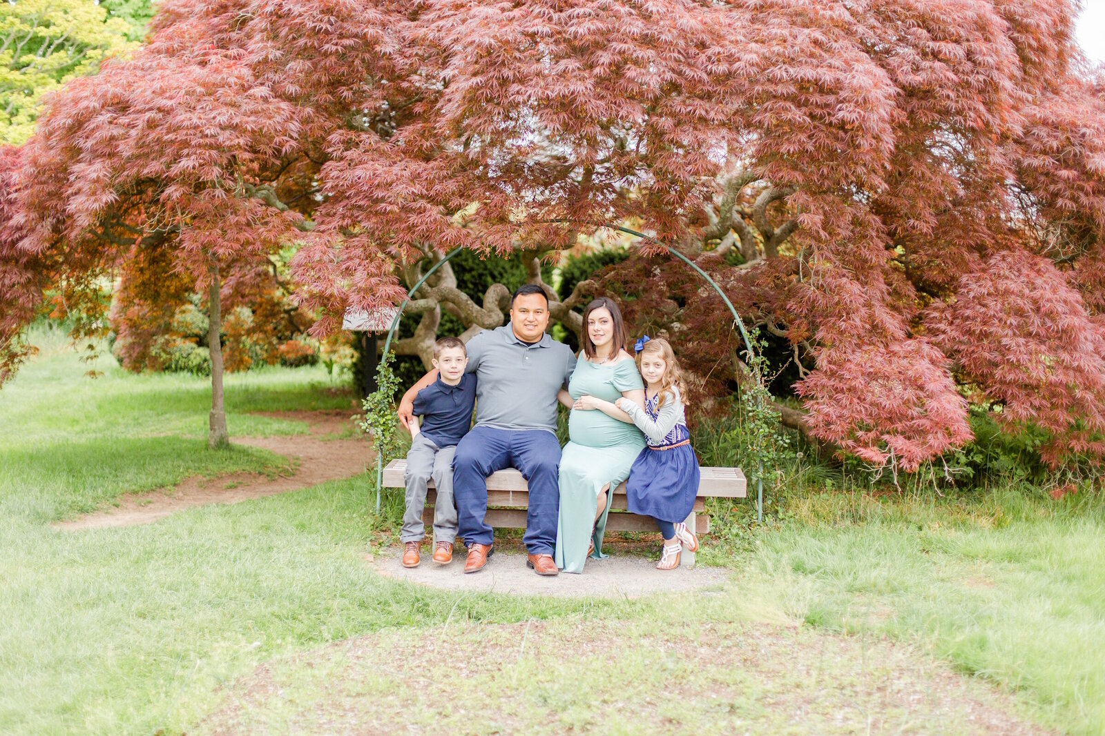 20190519_Scholhamer-00-WEBSITE-006