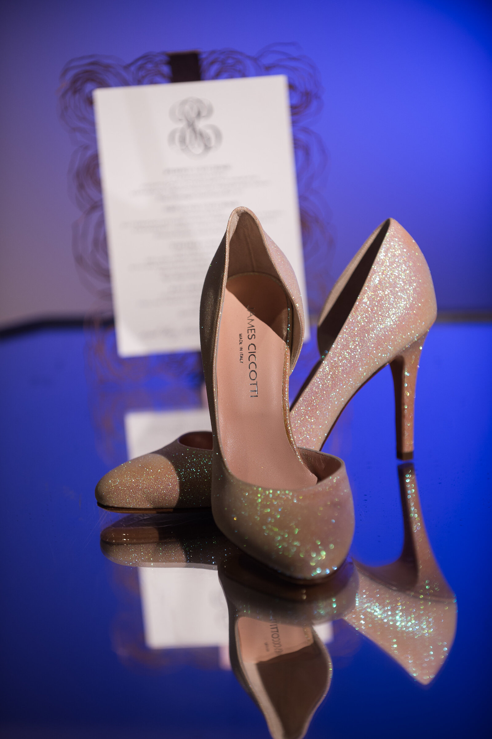 AngelaGarbotPhotography.Chicago.Wedding.9004.Showit
