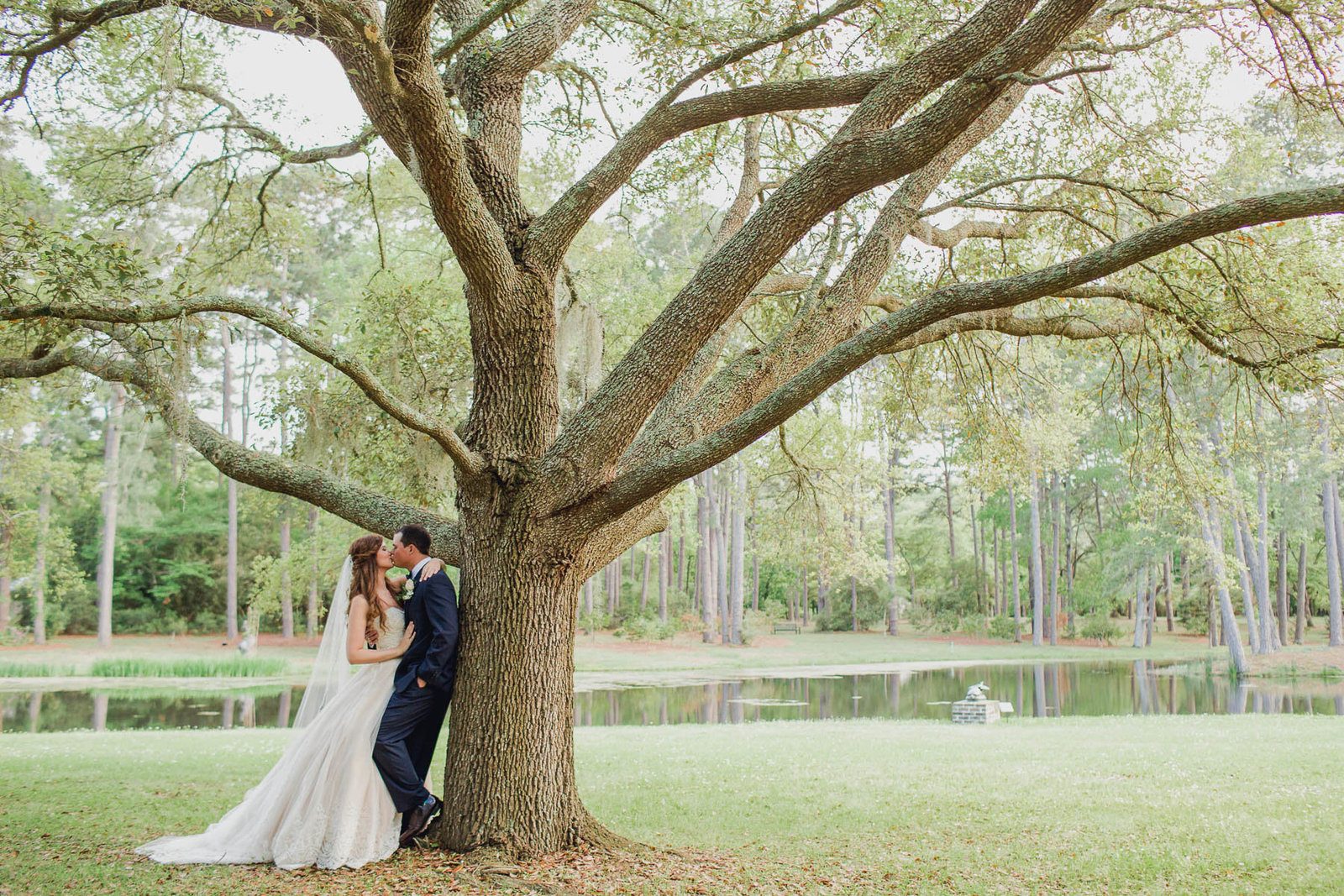 Bride and groom stand by tree, Brookgreen Gardens, Murrells Inlet, South Carolina