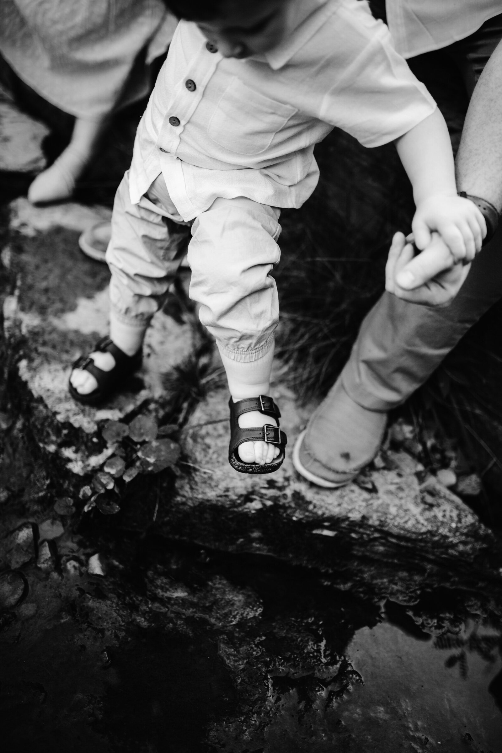 Collingwood Family Photography (31)