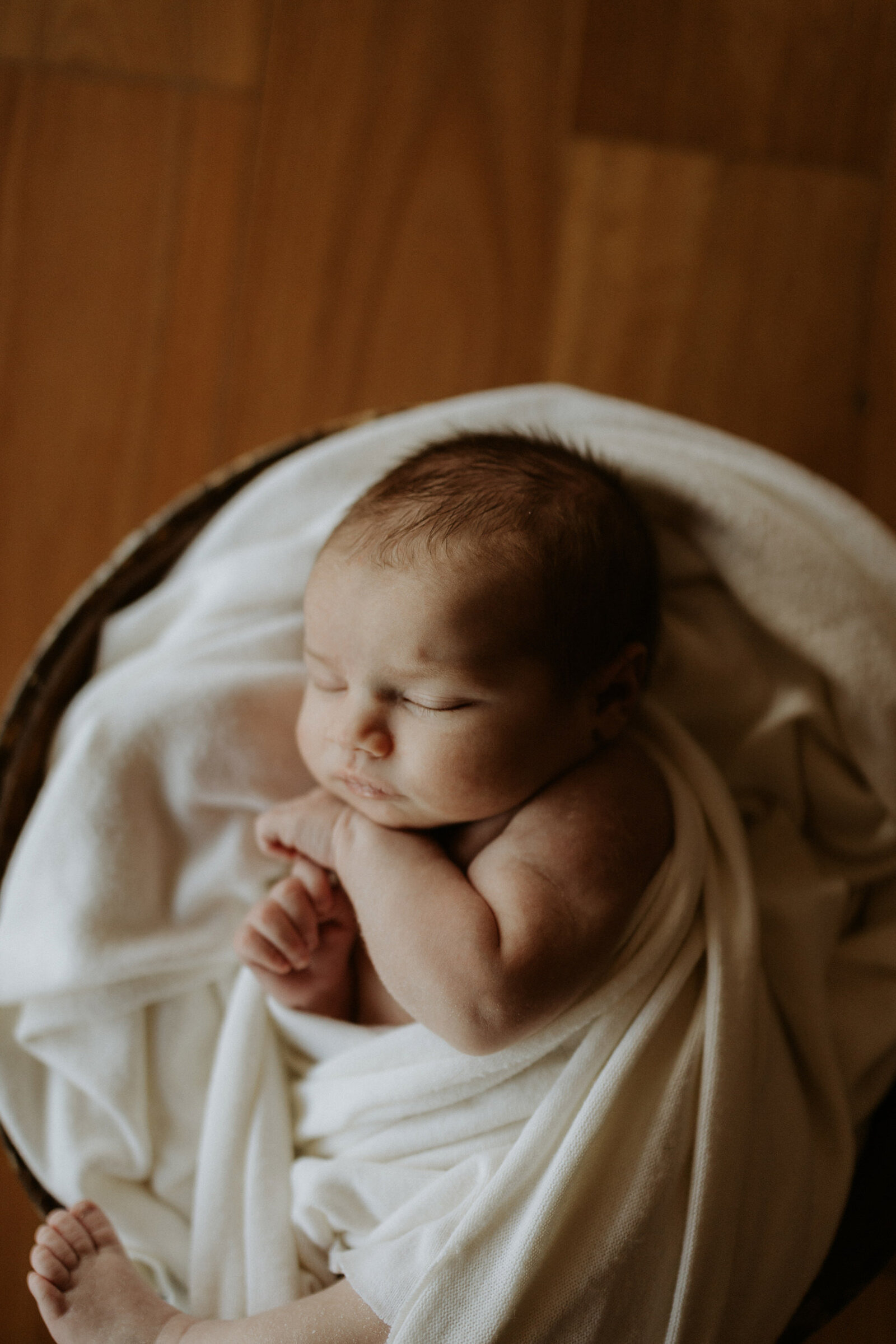 Harper newborn, Felicity Seaman, July 2024-57