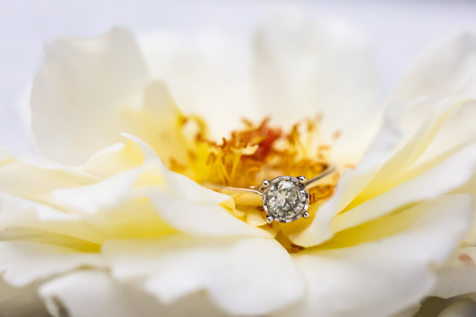 brides-ring-flower