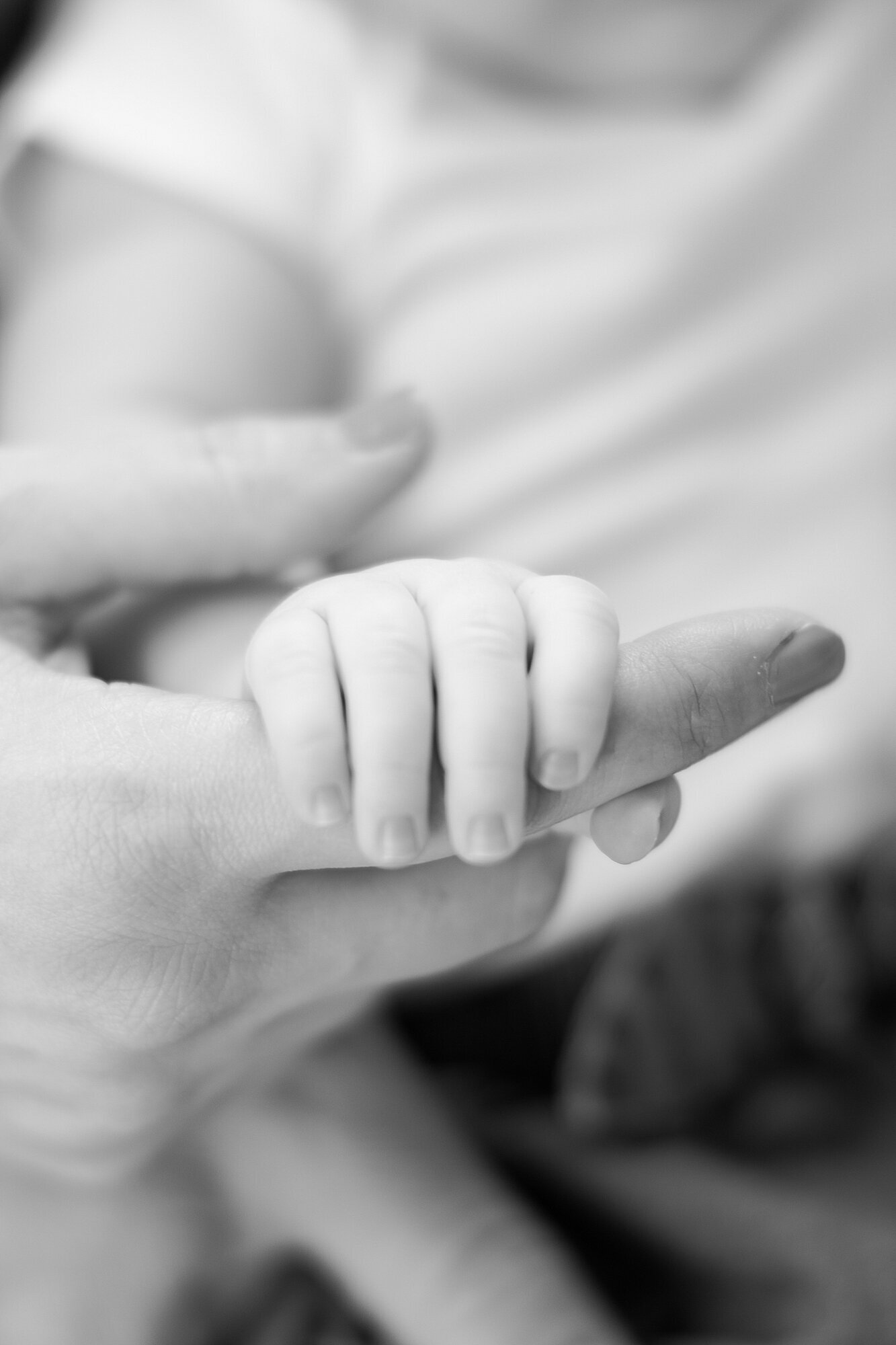 close up of baby grasping finger in black and white