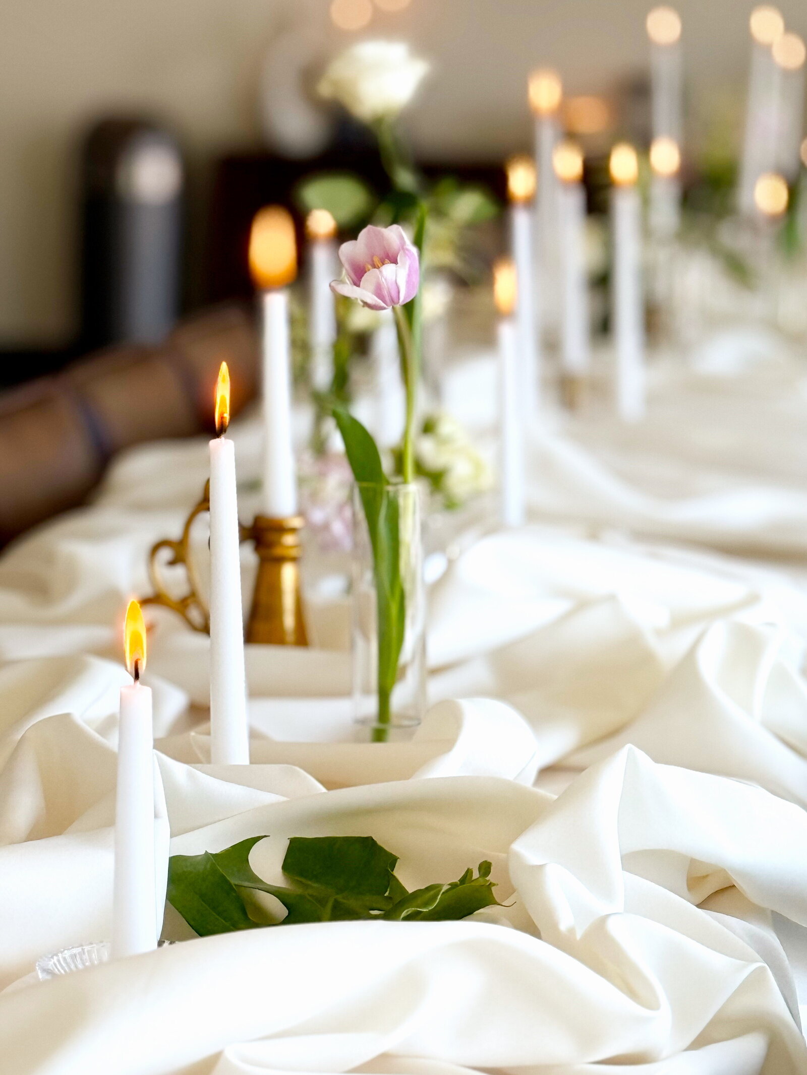 wynn + wonder, small event venue in tea, sd11