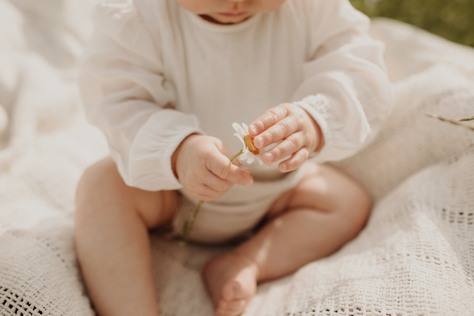 Melanie Huibers photography-6