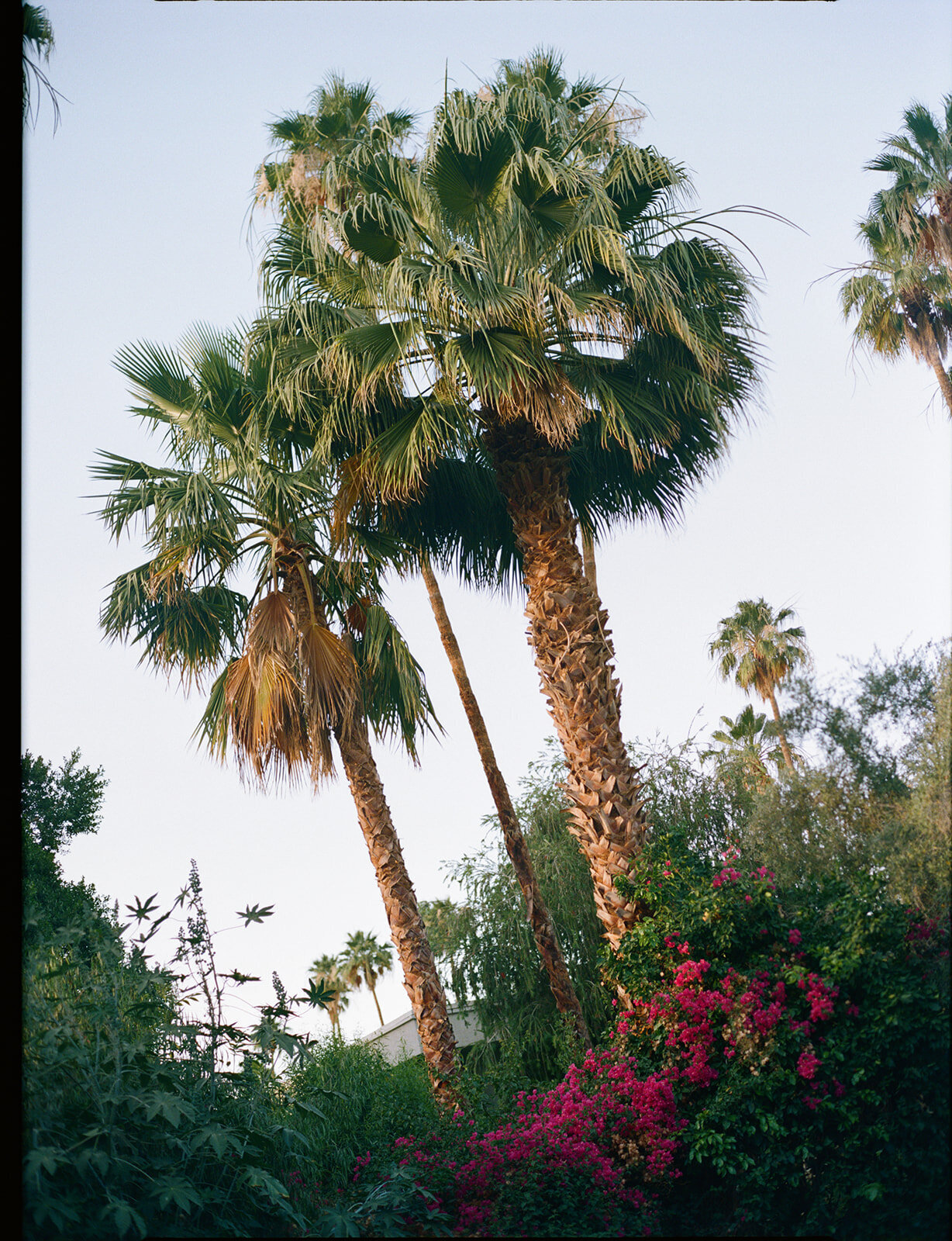 H+J_VENUE-106