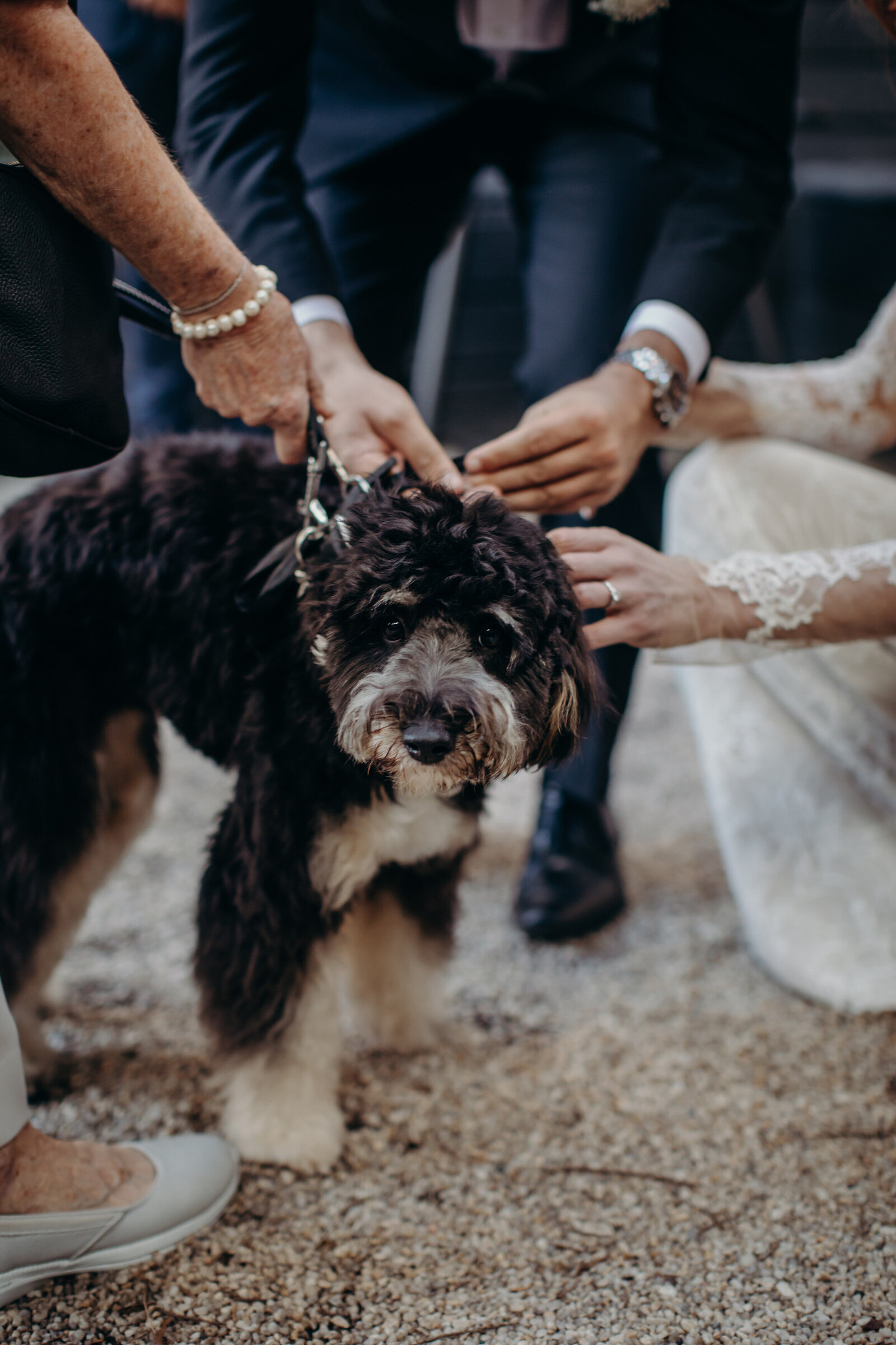 0102_Cafe_Montmartre_Candid_Wedding_Photographer