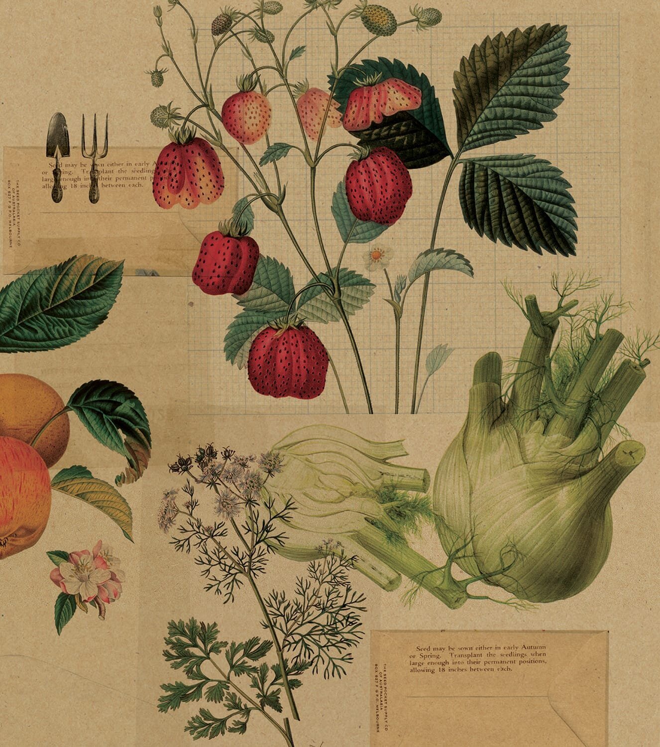 vege_garden_collage