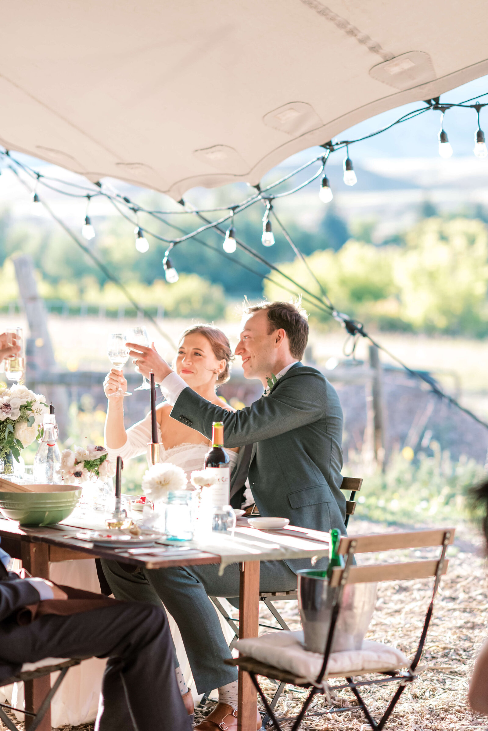 A couple cheers at their tented wedding reception in a photo by Virginia wedding photographer